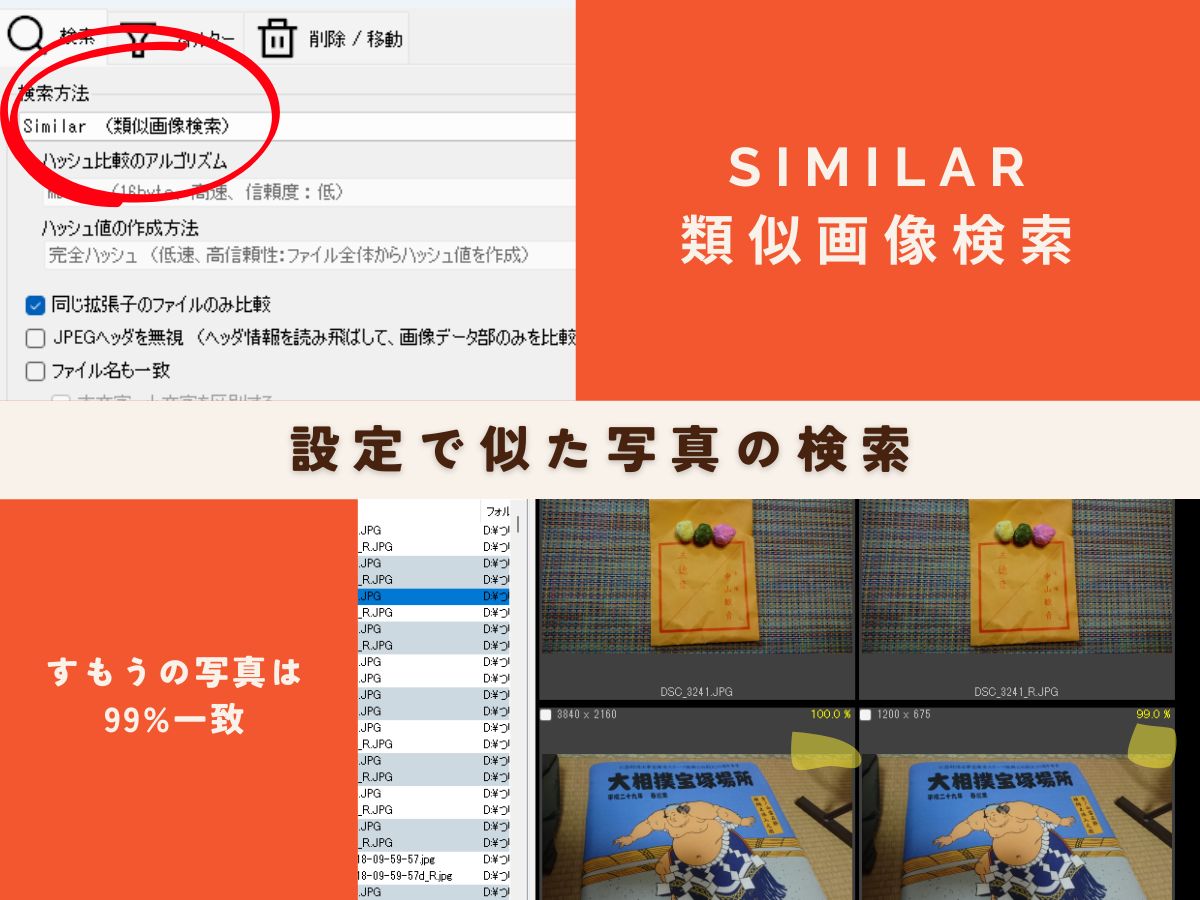 相撲の写真は99.0%一致でした